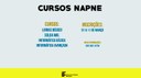 cursos-napne--.jpg