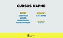 CURSOS-NAPNE.jpg