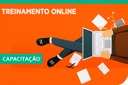 TREINAMENTO-ONLINE.jpg