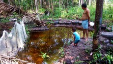 Viveiro em igarapé para piscicultura
