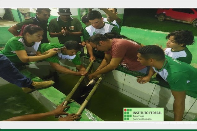 Alunos realizam prática de reprodução de tambaqui