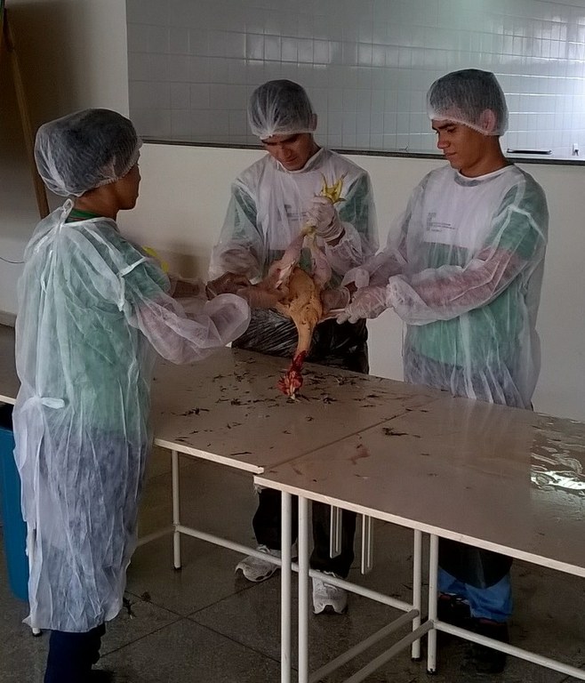 Alunos do curso Técnico em Agropecuária em aula prática