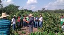 Visita ao plantio de guaraná
