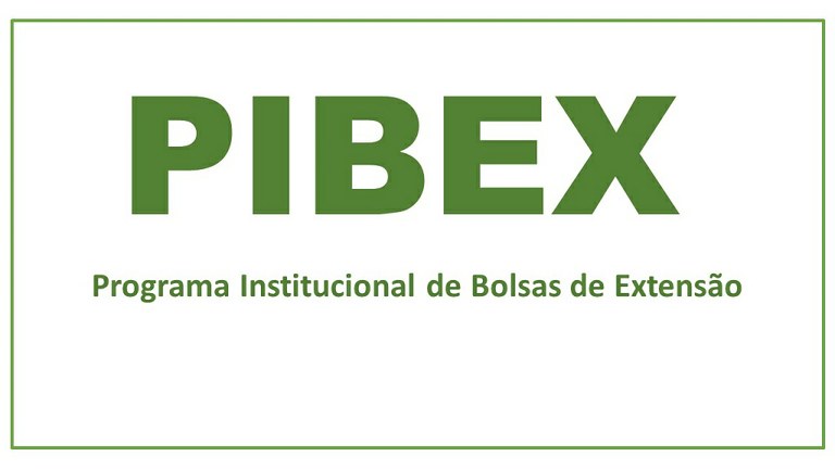 PIBEX.jpg