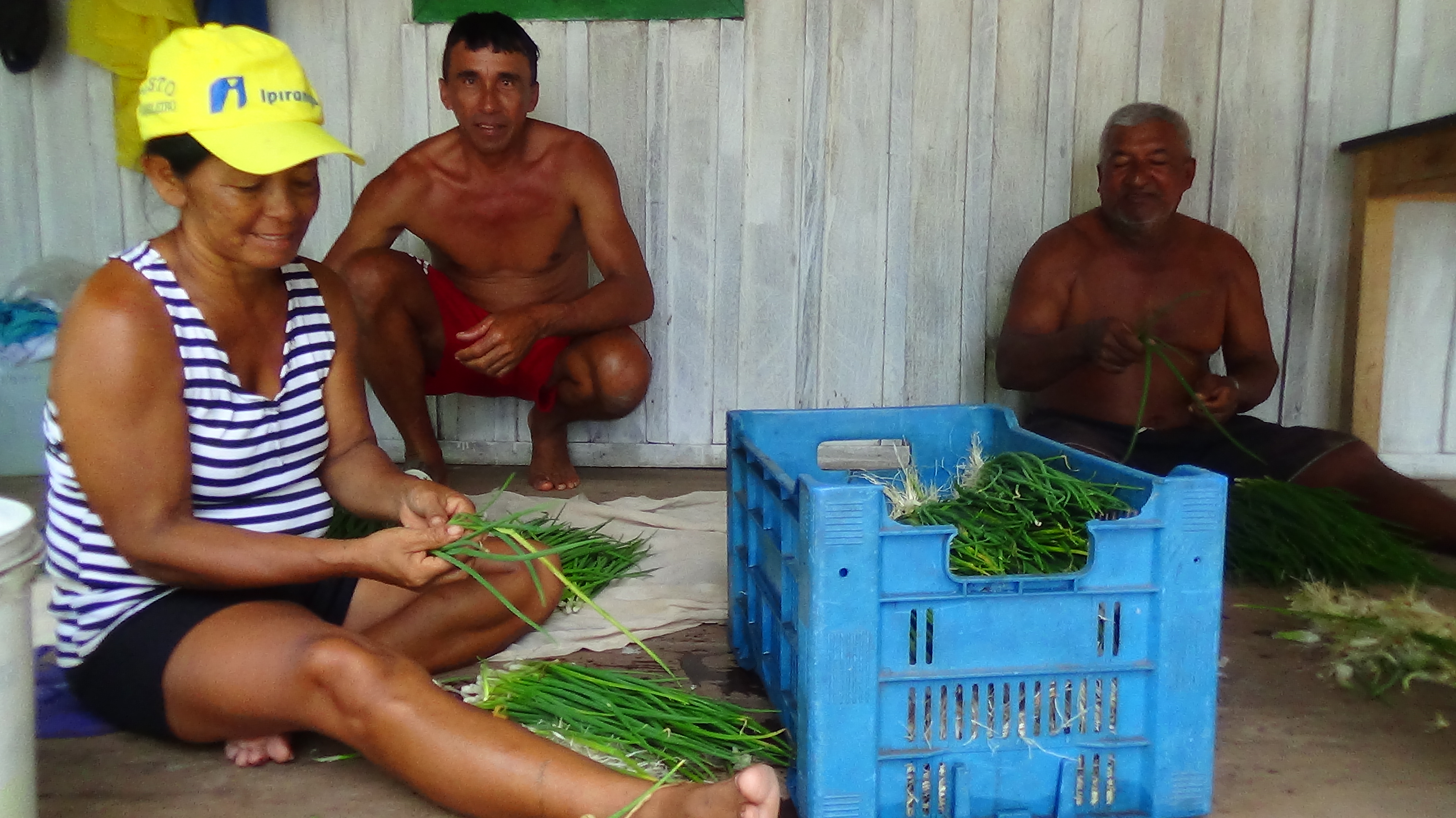 Paraná do Limão de Baixo