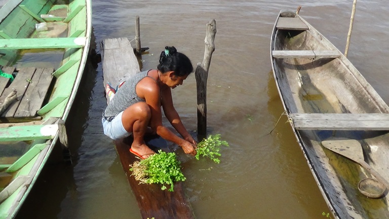 Paraná do Limão de Baixo