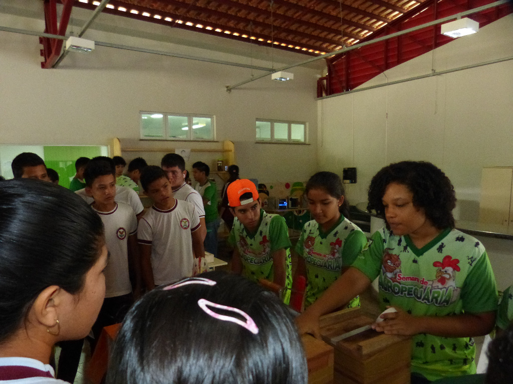 Exposição dos trabalhos desenvolvidos pelos discentes do Curso Técnico em Agropecuária.