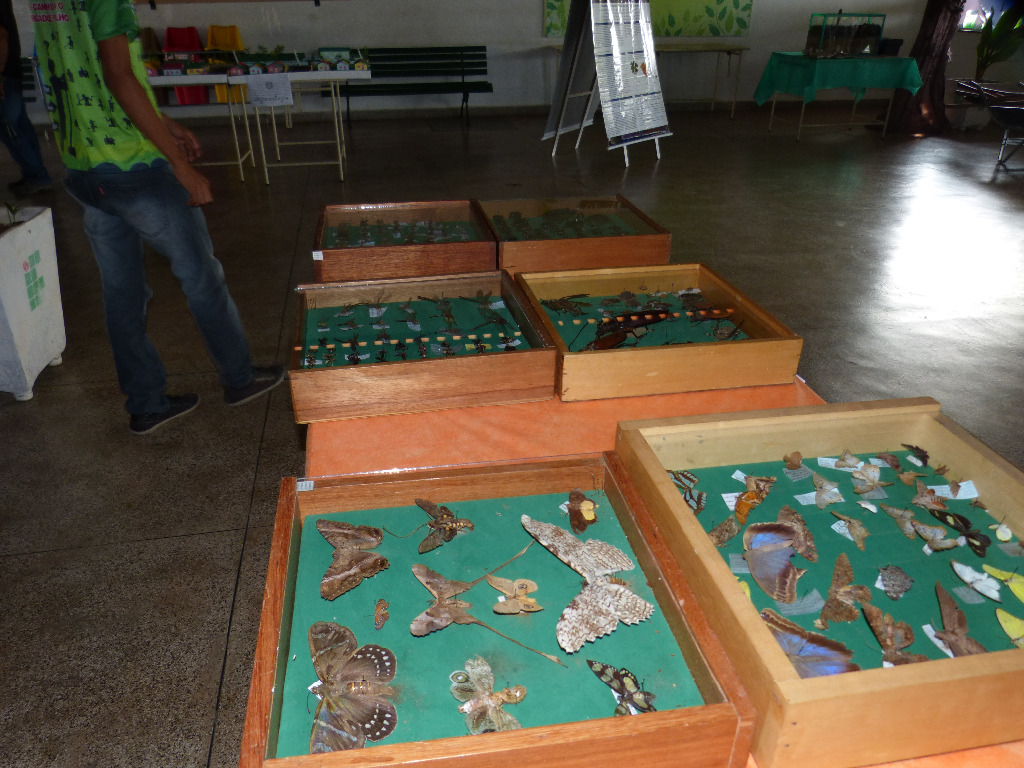 Exposição dos trabalhos desenvolvidos pelos discentes do Curso Técnico em Agropecuária.