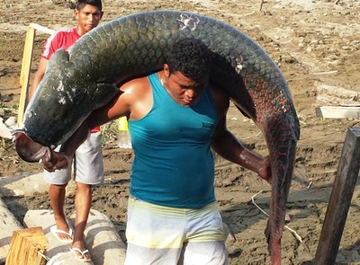 Curso Beneficiamento do Pescado em Fonte Boa (Fonte Maria Mendonça)