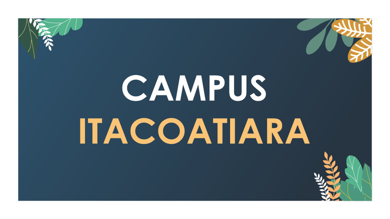 ITACOATIARA.png