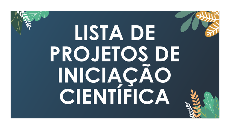 LISTA PROJETOS.png