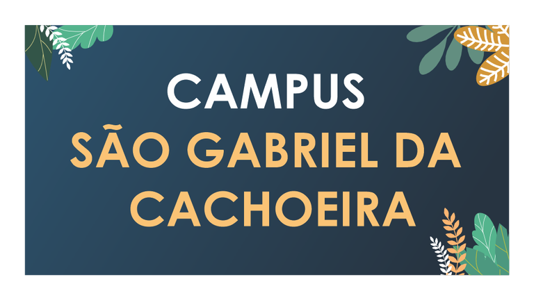 SÃO GABRIEL DA CACHOEIRA.png