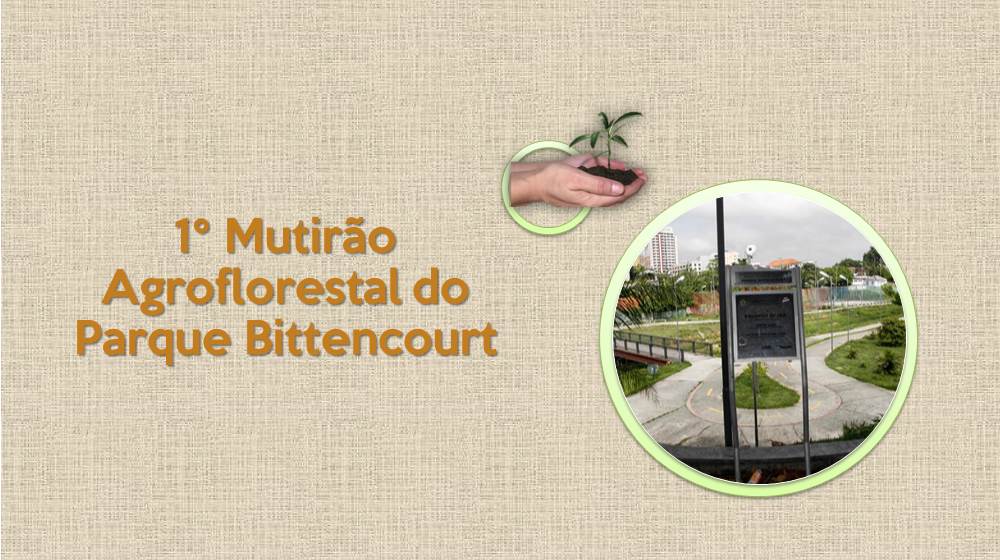 Mutirão - padrao-site.jpg