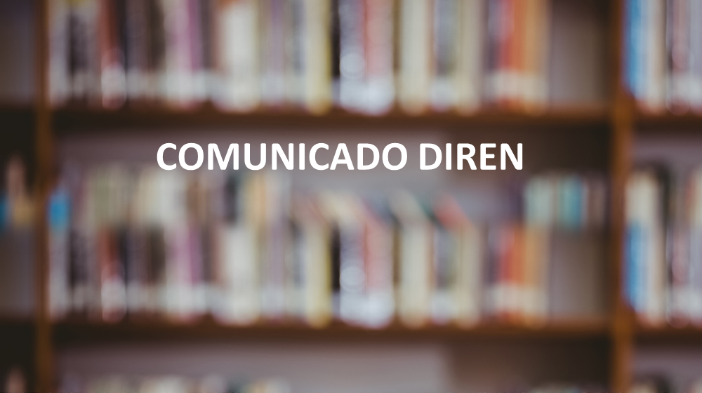 padrao-site - conselho de classe.png