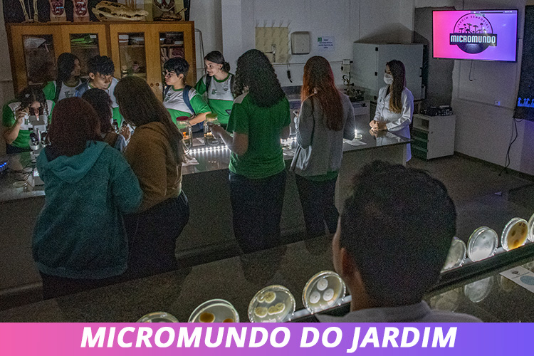 Sem Título-1.jpg