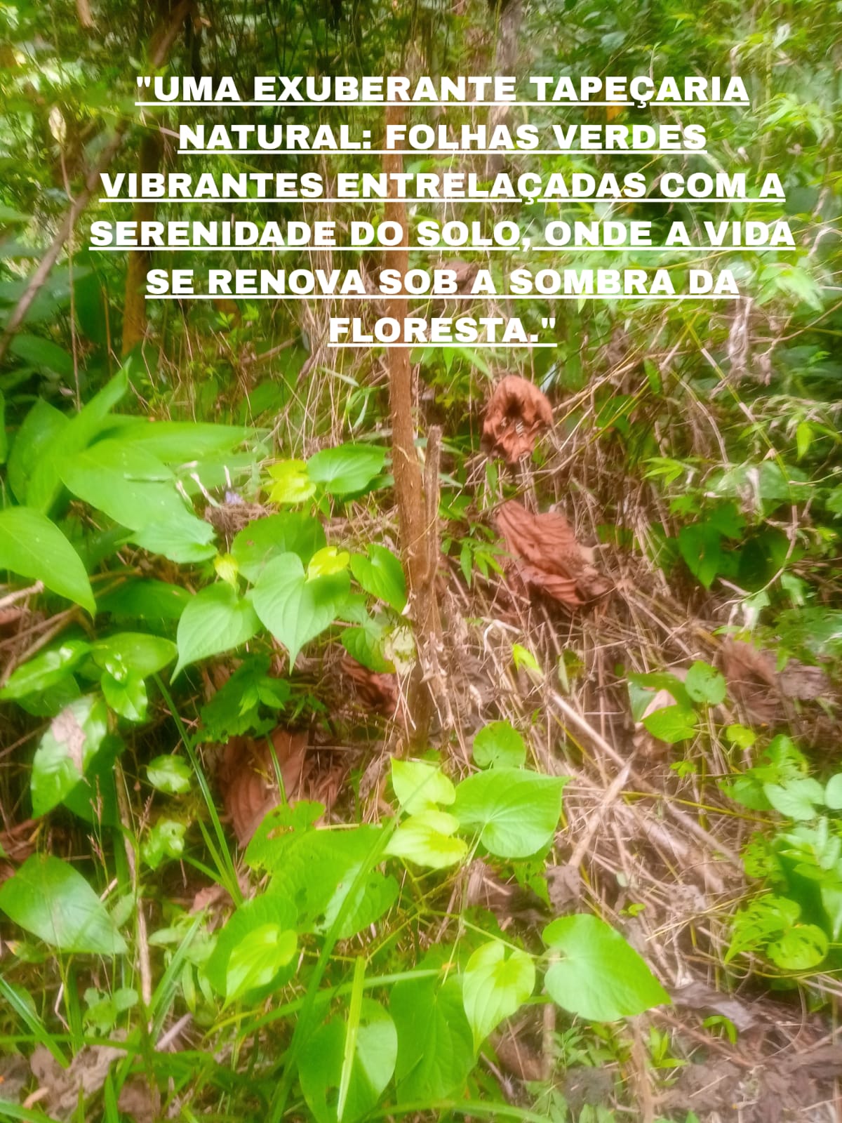 concurso (2).jpeg