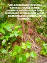 concurso (2).jpeg