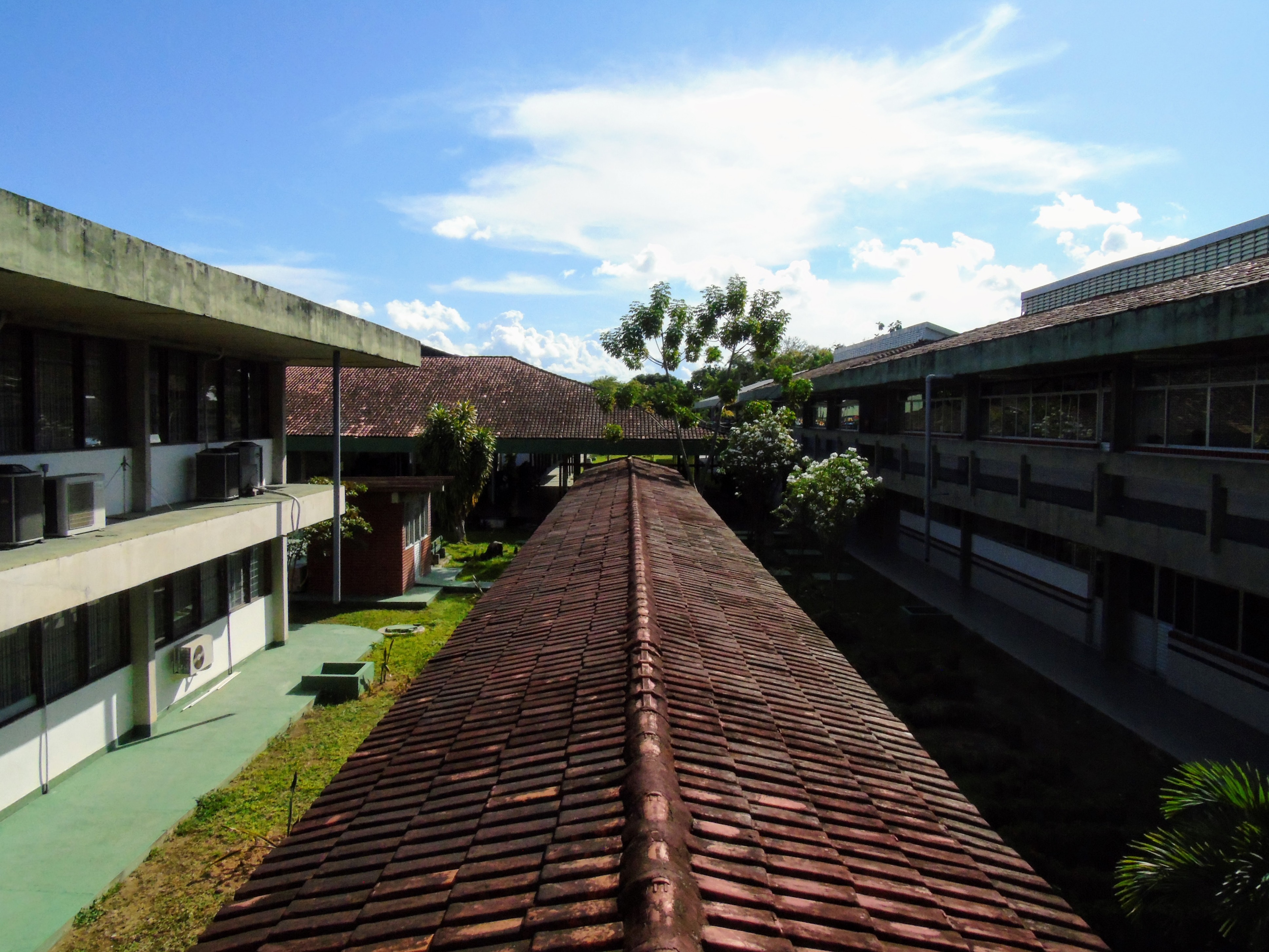DSC01052.jpg