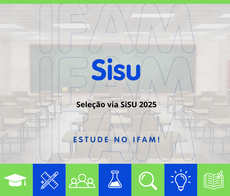 Sisu