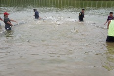 Foto4.jpg