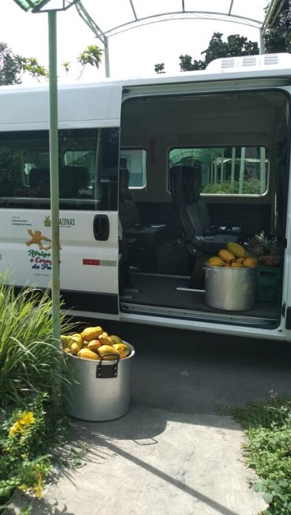 frutas05.jpg
