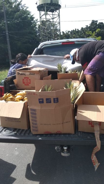 frutas07.jpg