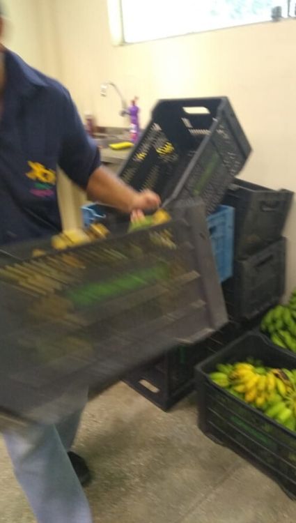 frutas08.jpg