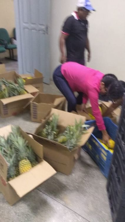 frutas11.jpg