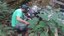 ifam_inpa_igarape_40_ (1).jpeg