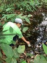 ifam_inpa_igarape_40_ (12).jpeg