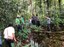 ifam_inpa_igarape_40_ (15).jpeg