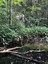 ifam_inpa_igarape_40_ (16).jpeg