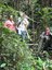 ifam_inpa_igarape_40_ (17).jpeg