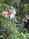 ifam_inpa_igarape_40_ (17).jpeg