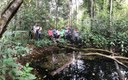 ifam_inpa_igarape_40_ (18).jpeg