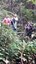 ifam_inpa_igarape_40_ (2).jpeg