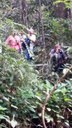 ifam_inpa_igarape_40_ (2).jpeg