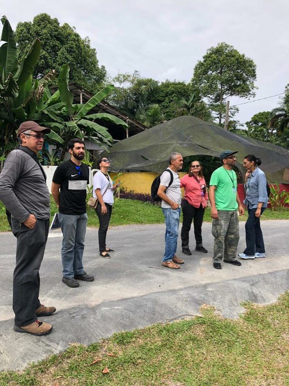 ifam_inpa_igarape_40_ (27).jpeg