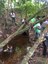 ifam_inpa_igarape_40_ (28).jpeg