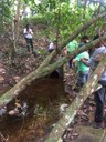 ifam_inpa_igarape_40_ (28).jpeg
