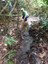 ifam_inpa_igarape_40_ (29).jpeg