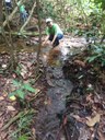 ifam_inpa_igarape_40_ (29).jpeg