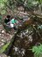 ifam_inpa_igarape_40_ (3).jpeg