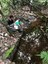 ifam_inpa_igarape_40_ (4).jpeg