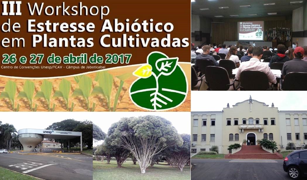 workshop estresse abiotico.jpg