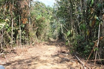 IMG_0299.JPG