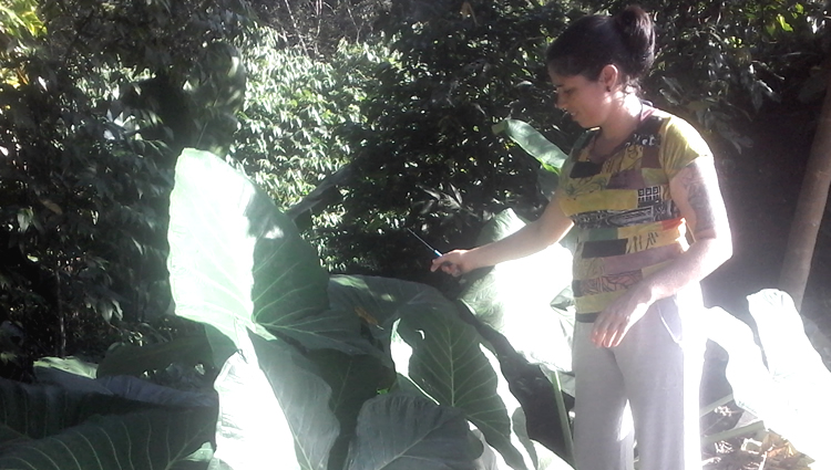 20160602_074721.jpg