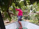FOTO_19.jpg