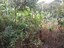 20230511_094024.jpg
