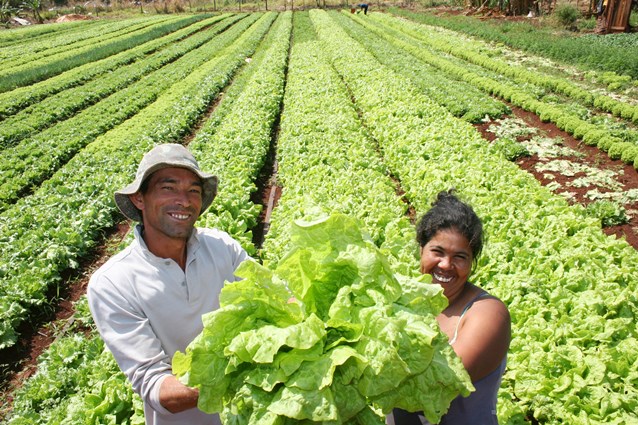 agricultura-familiar.jpg